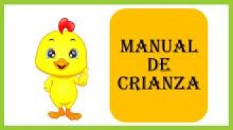 Manual de crianza para pollo
